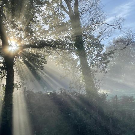 Efail Y Garn Bed & Breakfast Swansea Bagian luar foto